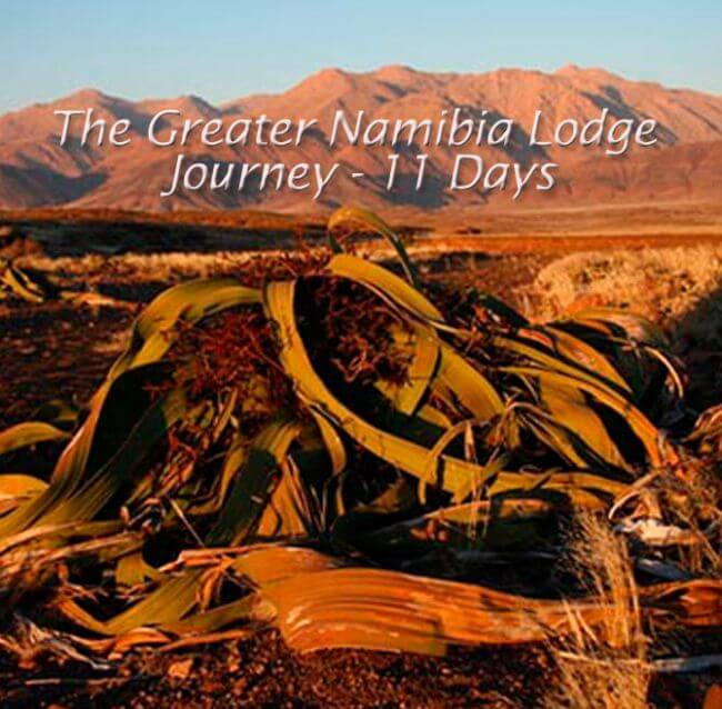 Nambia 2 - The Greater Namibia Lodge Journey - 11 Days