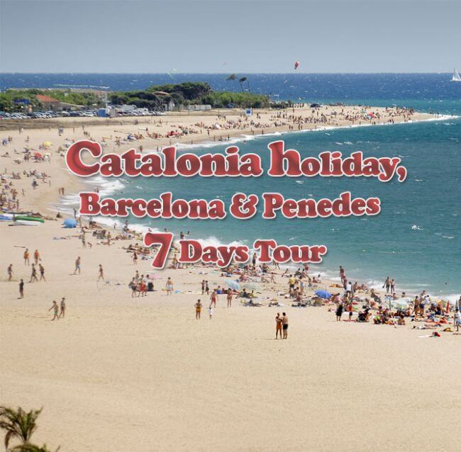 Image of a beach surrounded by people