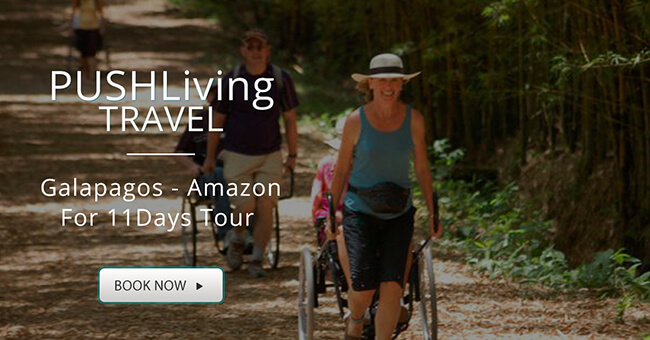 Two disabled man and a women walking through forest pulling their wheelchair