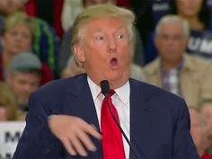 Donal Trump - donal-trump