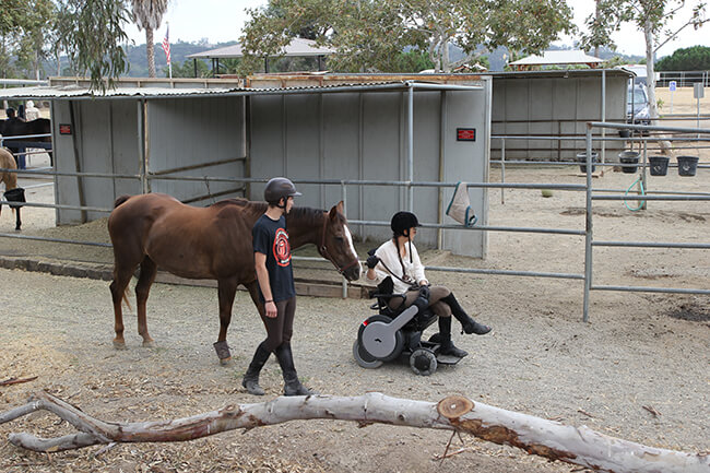 IMG 9206 - Horses for Therapy? Wheelchair Users Find Reasons to Get Back into the Saddle!