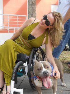 PUSHLiving.com How to train a service dog Part One 225x300 - Woman in a wheelchair with her dog