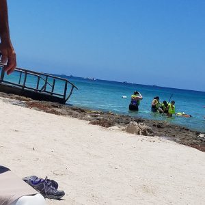 20180418 133253 300x300 - Cruise Ship Adventures & Wheelchairs - Lessons Learned