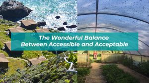The Wonderful Balance Between Accessible and Acceptable 300x168 - The Wonderful Balance Between Accessible and Acceptable
