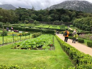 Ireland Day 12 9 300x225 - PUSHLiving Ireland 2019: Day 11-14 Galway, Kylemore Abbey, and Cliffs of Moher