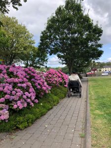 Ireland Day 5 28 225x300 - PUSHLiving Ireland 2019: Day 4-7 Waterford, Kinsale, and Cork